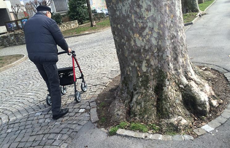obstacle de l'arbre sur le trottoir