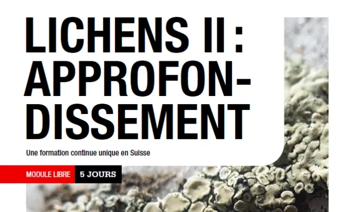 Module Libre Lichens II : approfondissement