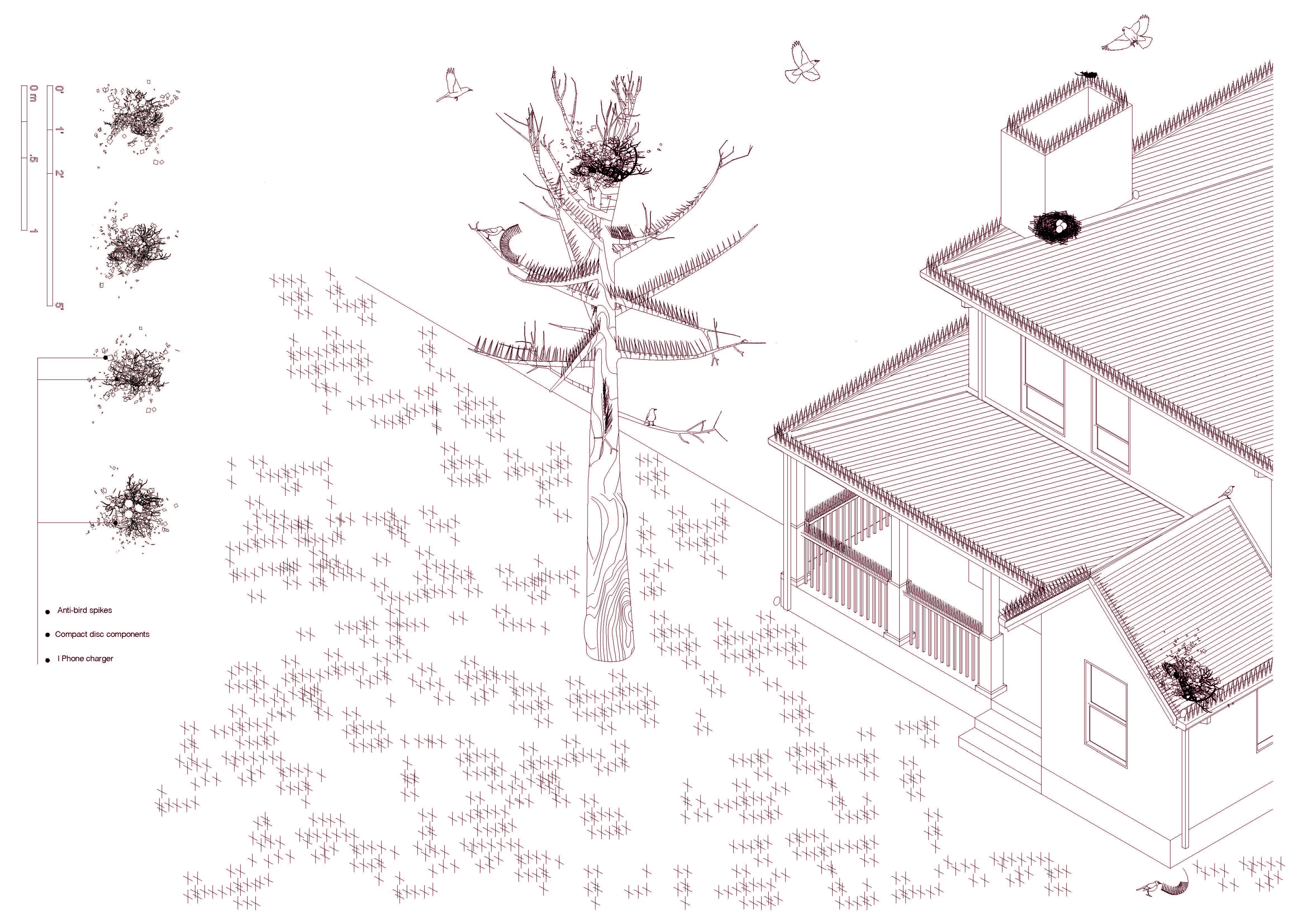 [missing img]