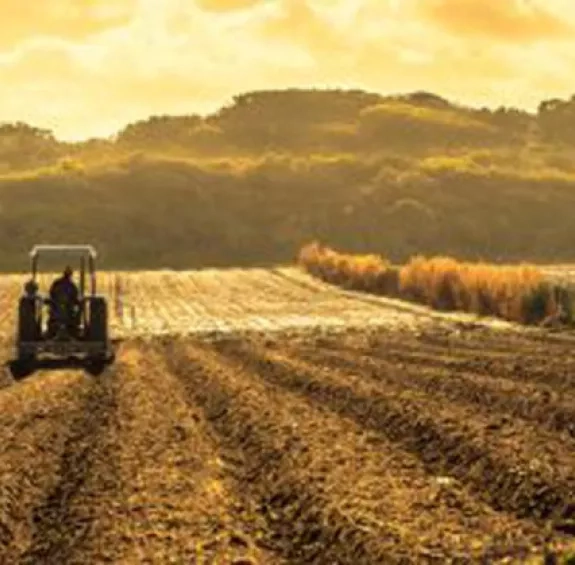 Approvisionnement alimentaire : un défi pour Genève ?