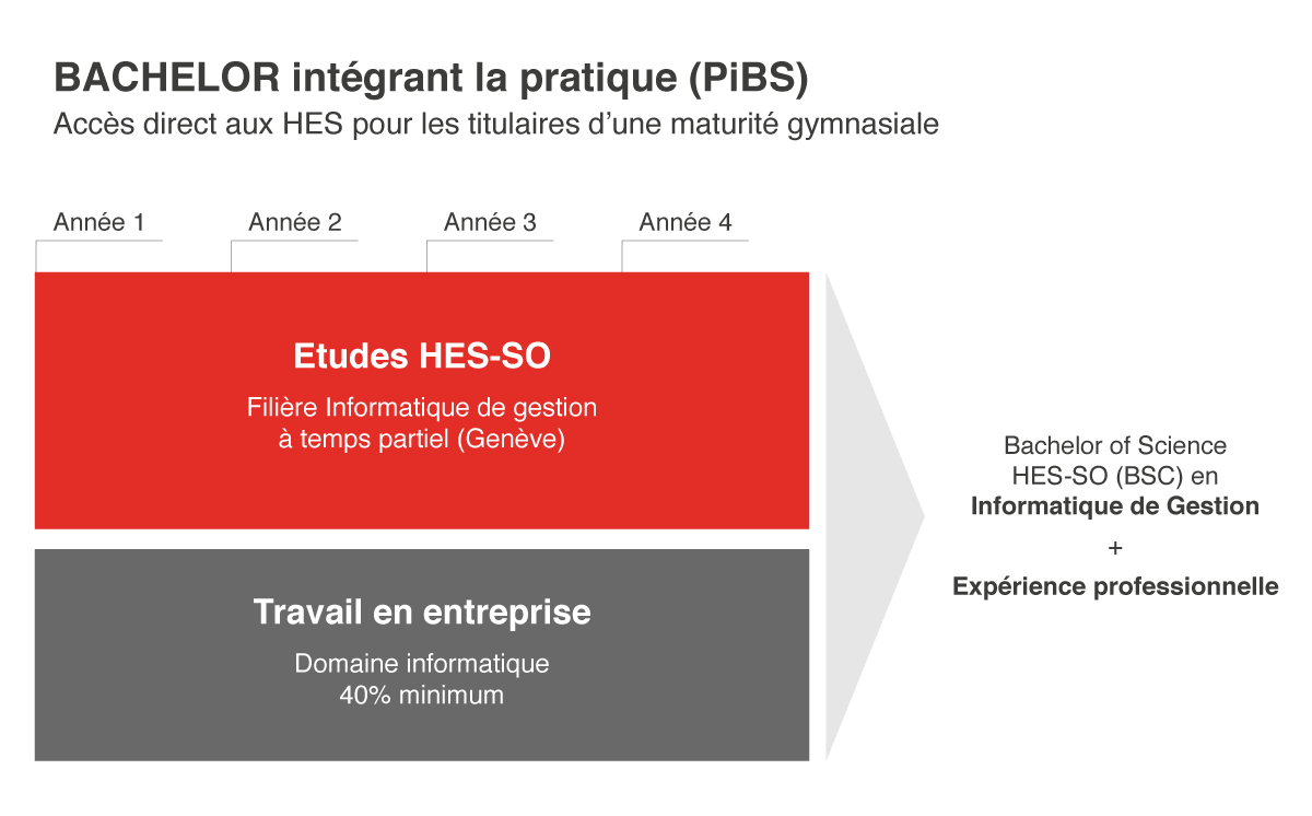 Schéma Bachelor intégrant la pratique (PiBS)