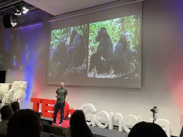TEDx 2024