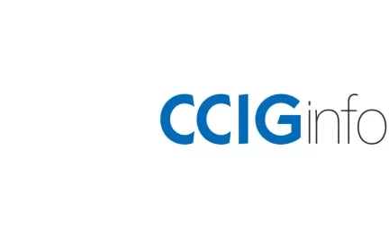 Illustration logo CCIG Info
