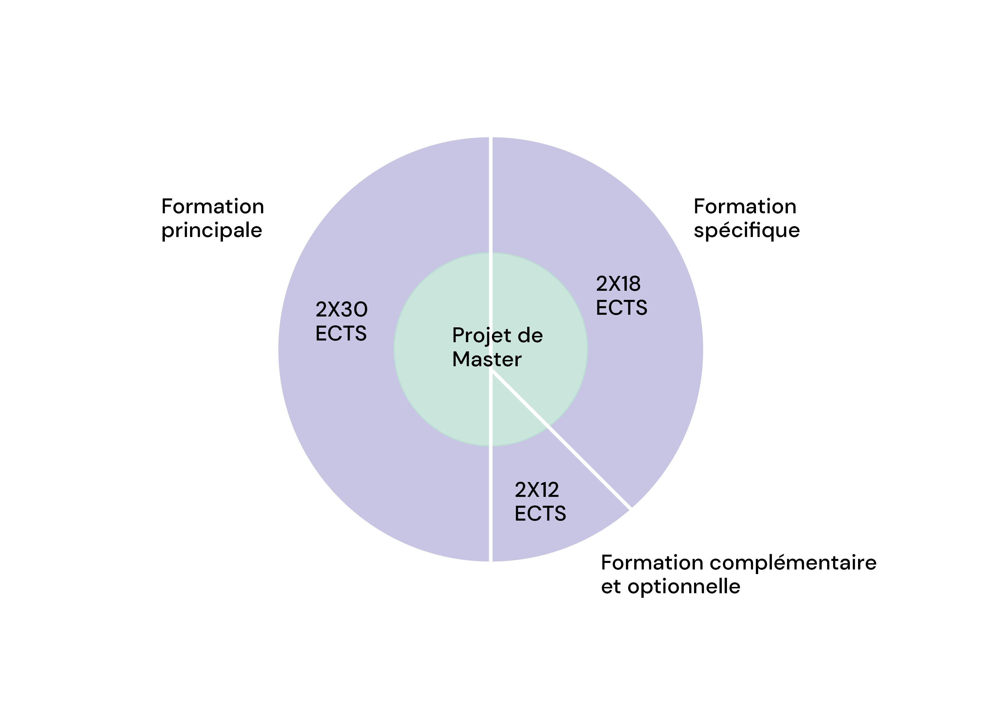 Plan d'étude cadre Master.jpg