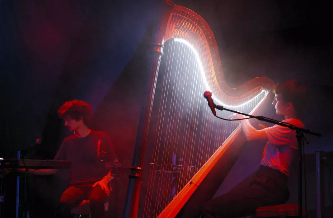 Harpiste lumineuse