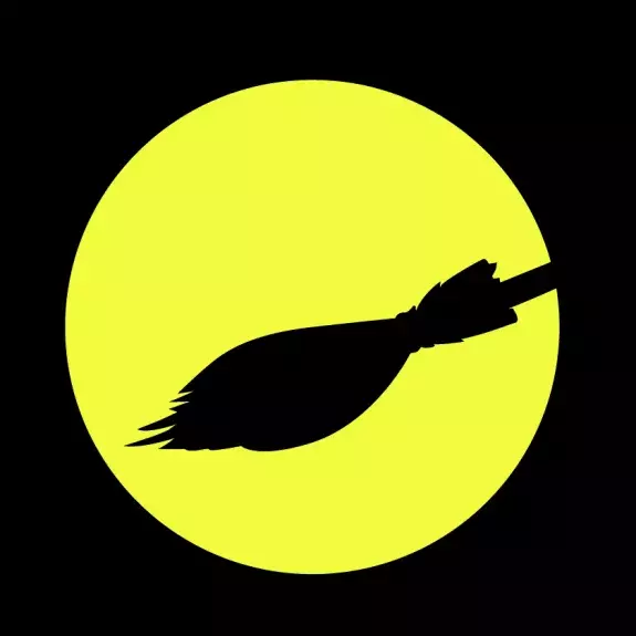 Visuel de La Sorcière de Camille Erlanger 