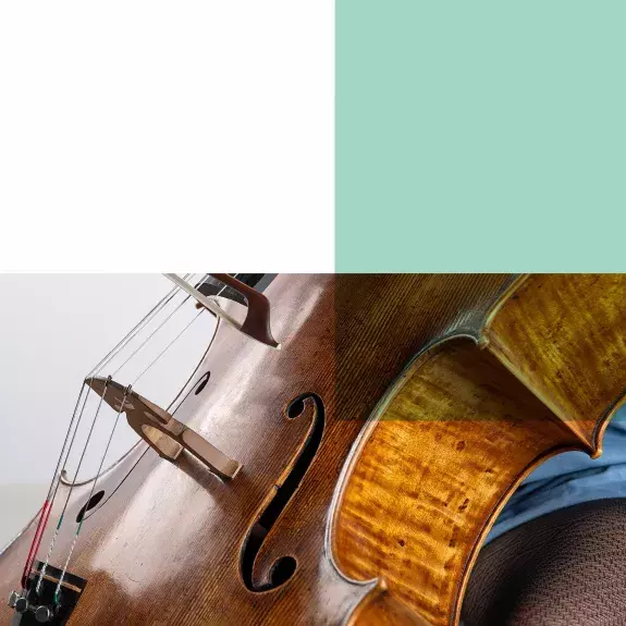 Gros plan sur un violoncelle