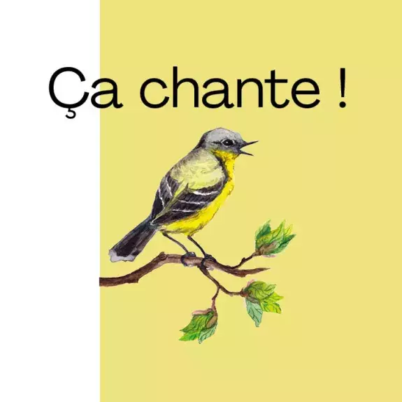 Visuel pour Ca chante