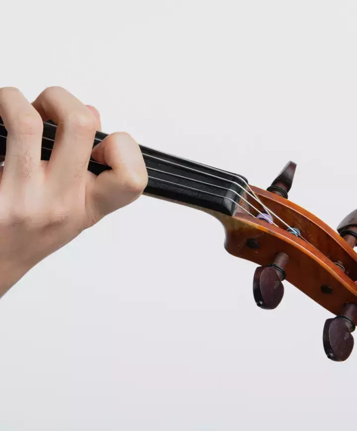 Violon  HEM Genève - Neuchâtel