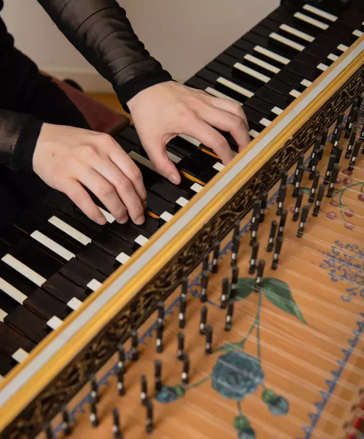 Harpsichord synth top