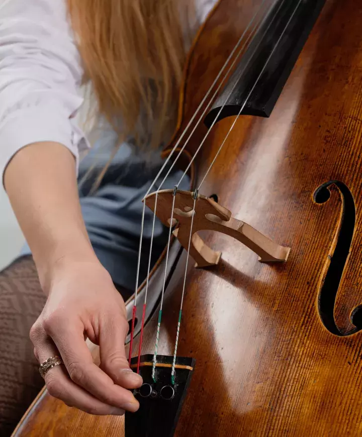 Le violoncelle - Les instruments de musique