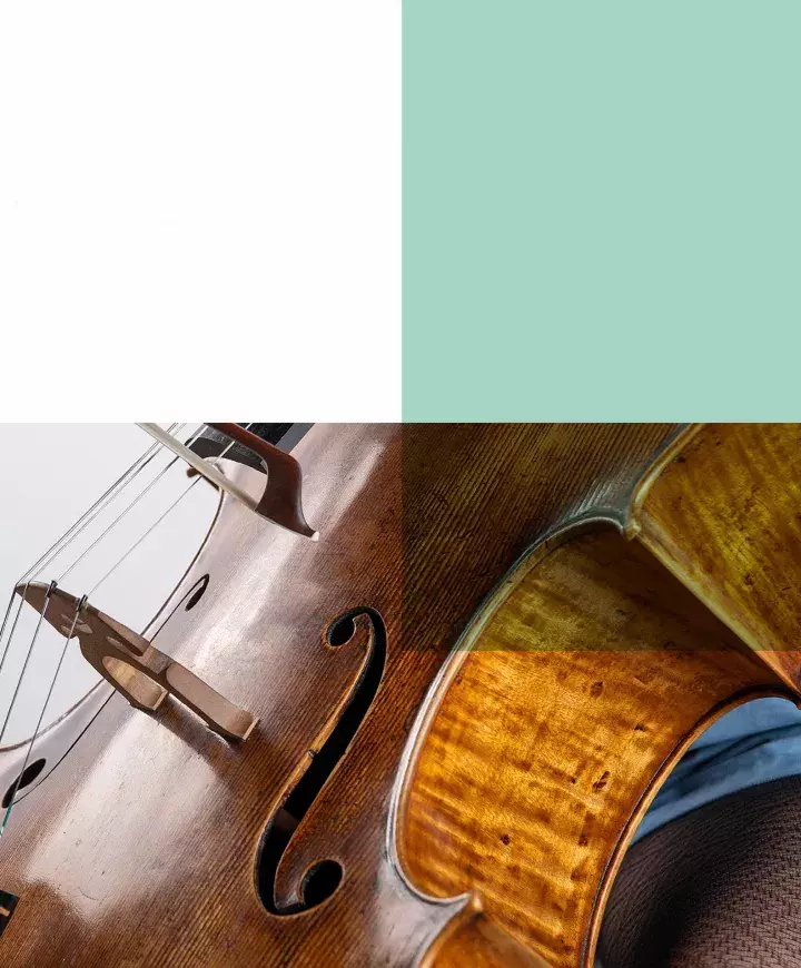 Gros plan sur un violoncelle