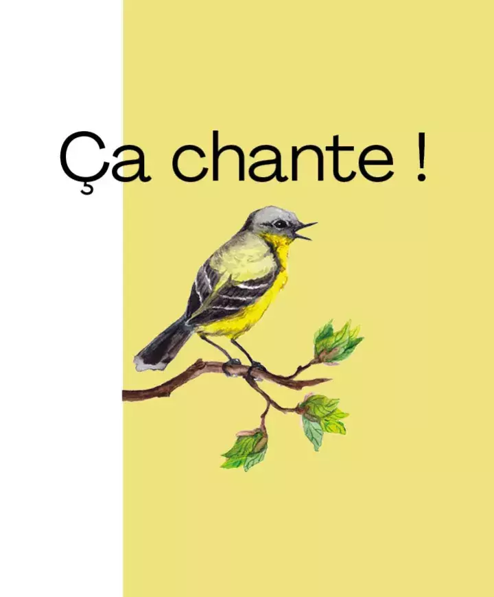 Visuel pour Ca chante