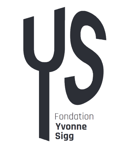 Logo Fondation YS