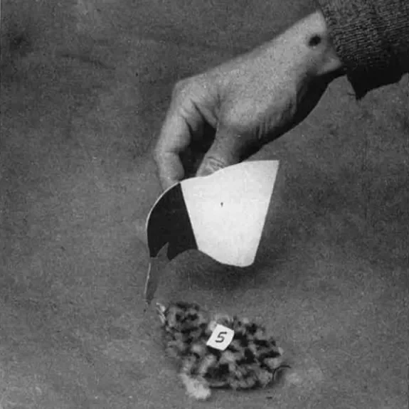 Photo d'une main qui révèle une pièce à conviction