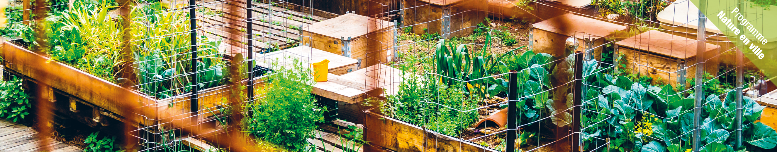 visuel formation cultivons nos villes