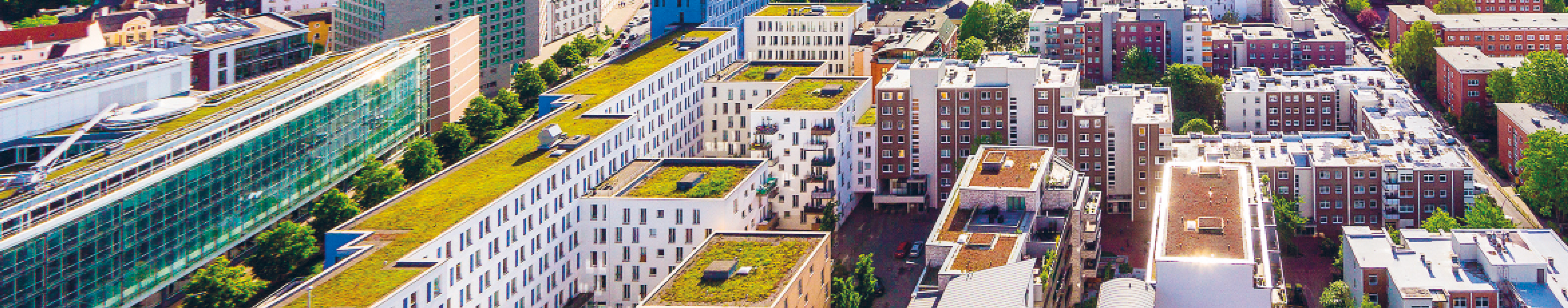 visuel du cours financer la nature en ville