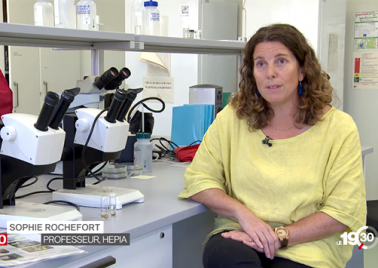 Sophie Rochefort dans le laboratoire d'entomologie d'HEPIA