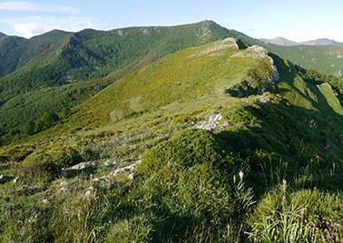 Cordillère cantabrique