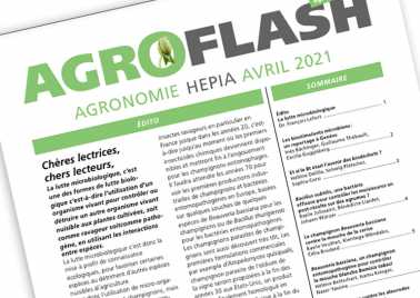 Agroflash 24