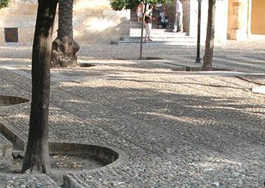 L'eau, le sol et la cité