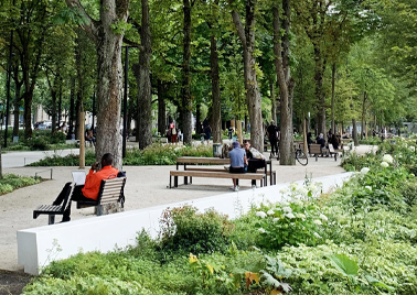 Promenades de Reims