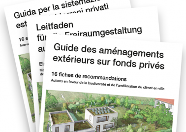 Fiches et astuces pour adapter son jardin au changement climatique et favoriser la biodiversité en ville (Suisse)