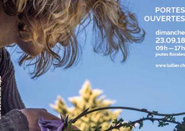 visuel de l'événement 