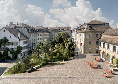 Visuel de l'expo: Faire de la place au végétal, à Nyon