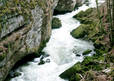 PHOTO rivière pour le concours «Regards citoyens sur l’eau, du Léman au massif jurassien»