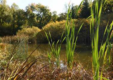 Etang de Boix Vieux - projet PONDERFUL