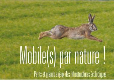 Couverture booklet Mobile(s) par nature