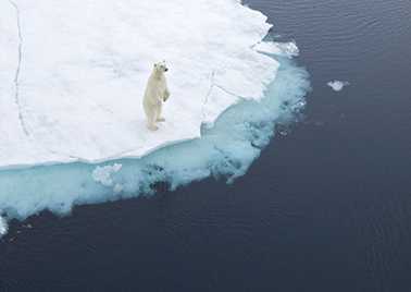 Visuel salon et prix environnement 2025