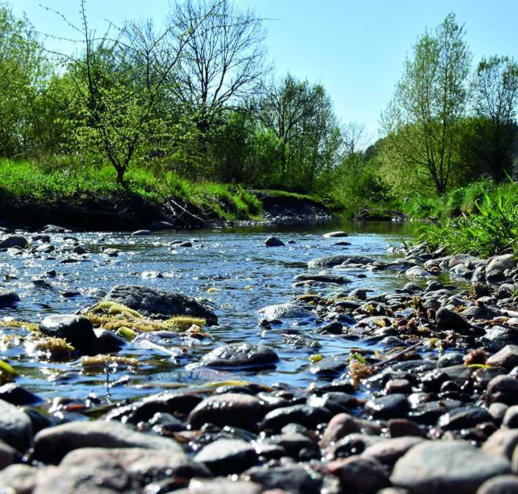 Renaturation des cours d'eau