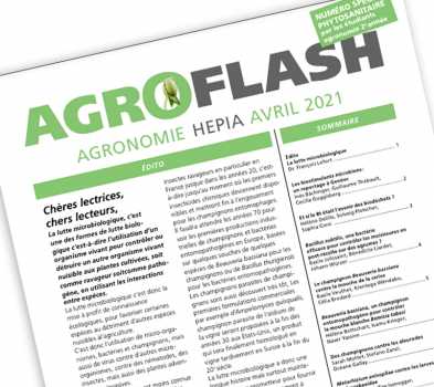 Agroflash 24