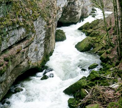 PHOTO rivière pour le concours «Regards citoyens sur l’eau, du Léman au massif jurassien»