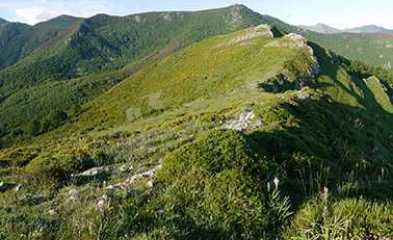 Cordillère cantabrique