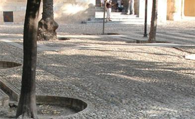 L'eau, le sol et la cité