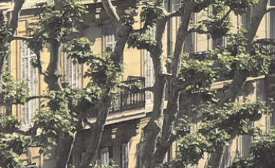 visuel de l'événement l'arbre et la cité