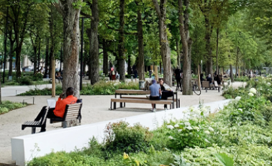Promenades de Reims