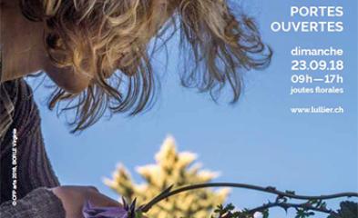 visuel de l'événement 