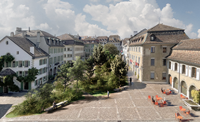 Visuel de l'expo: Faire de la place au végétal, à Nyon