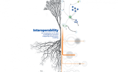 Visuel couverture livre Interoperability