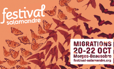 Festival La Salamandre