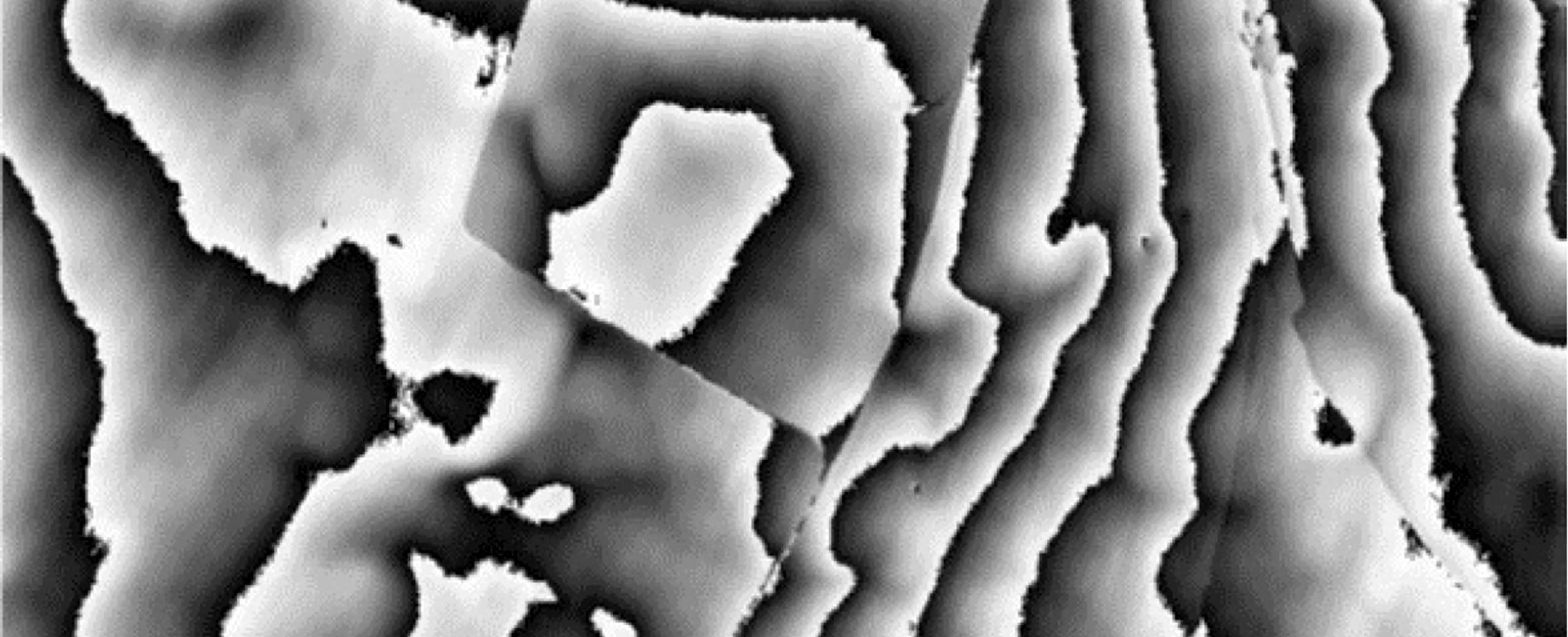 Phase map of a 2D material