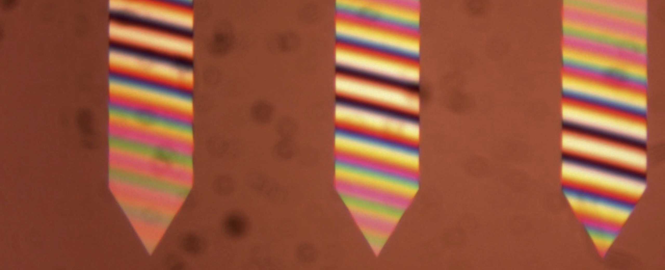 Cantilever as seen with a Mirau objective 