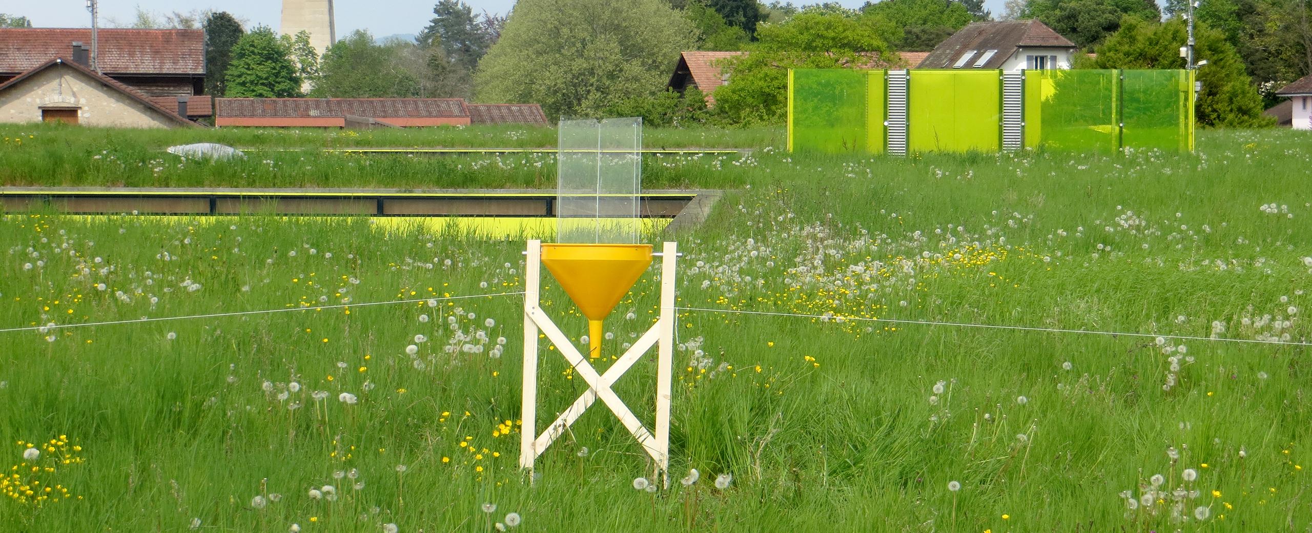 study of biodiversity on green roofs