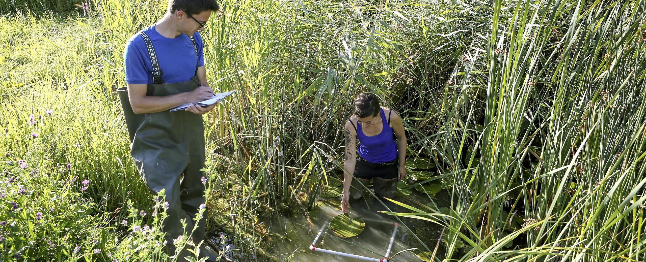 Evaluer la qualité des milieux naturels