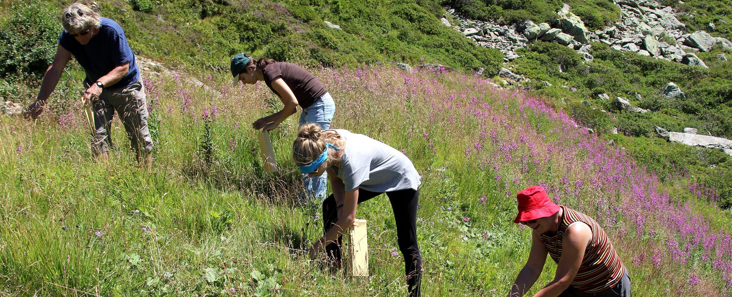 Récolter pour restaurer