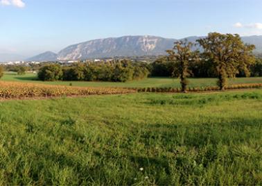 Photo projet paysage cantonale de Genève